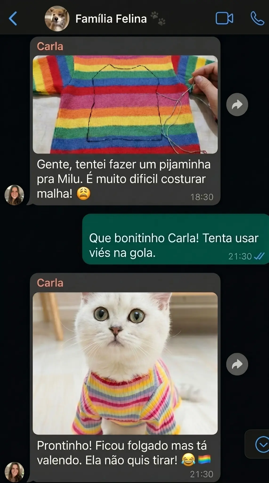 Print de WhatsApp com cliente mostrando roupa pet pronta