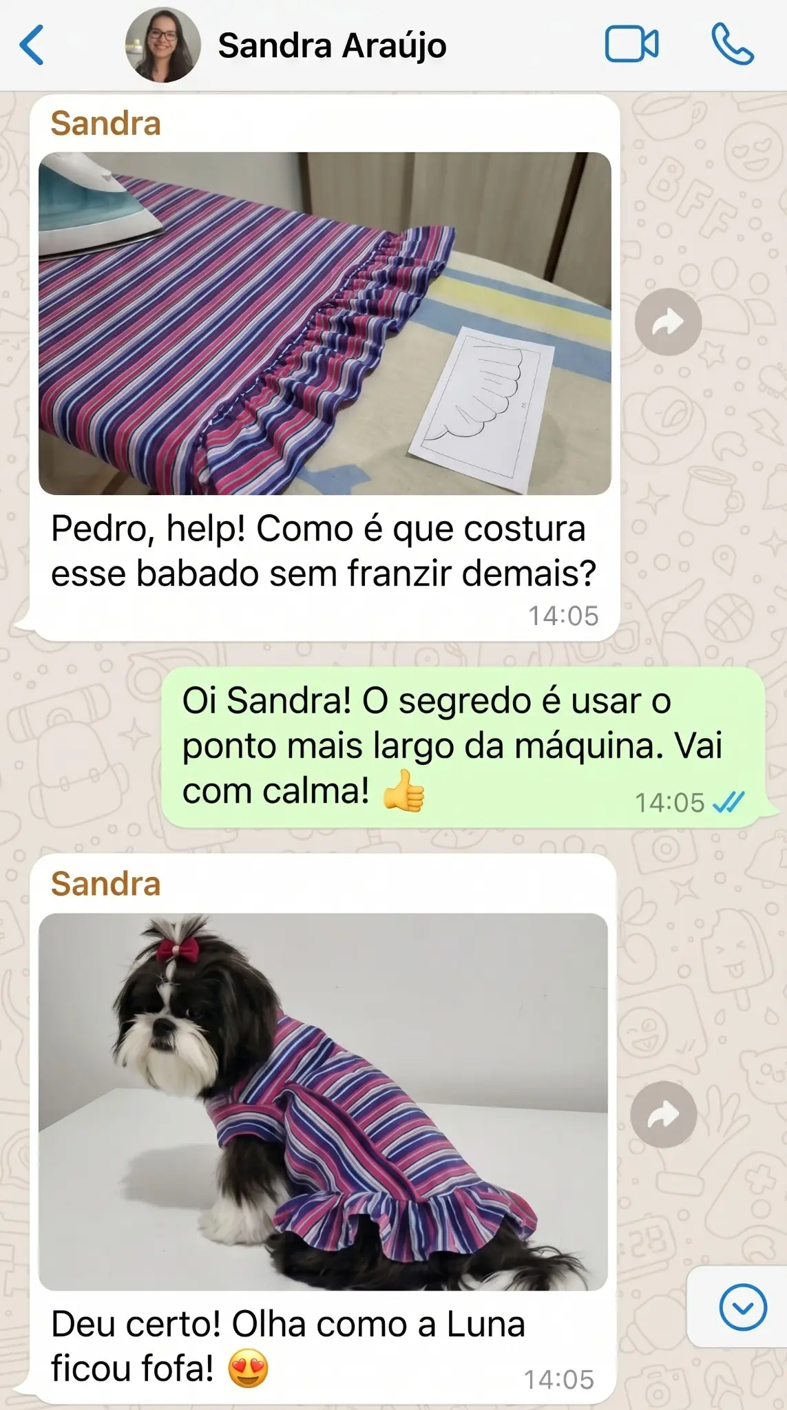 Print de WhatsApp com cliente mostrando peça pet feita com tecido colorido